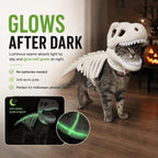 Glow-in-the-Dark Skeleton Halloween Costume - Cats and Dogs
