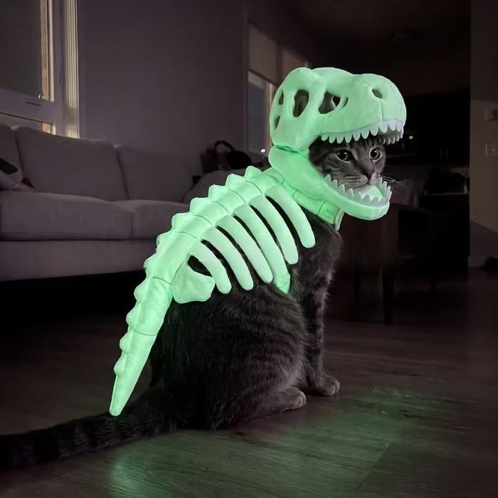 Glow-in-the-Dark Skeleton Halloween Costume - Cats and Dogs