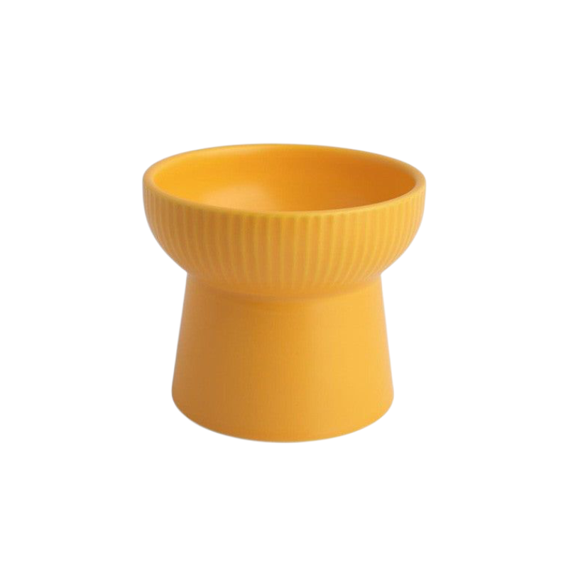 Elevated Ceramic Cat Bowl with High Foot and Neck Protection