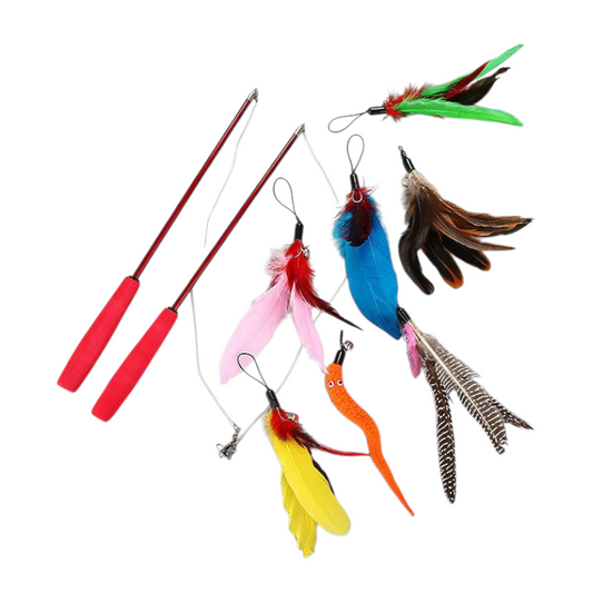 Stick Toy Set Interactive Telescopic Cat Play Kit