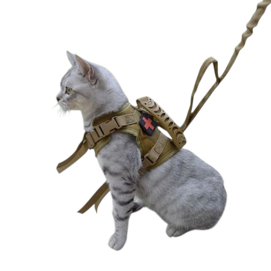 Adjustable Tactical Cat Harness