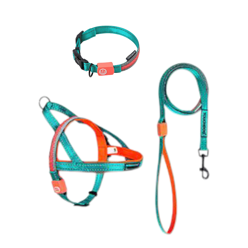 TouchDog LED pet leash set