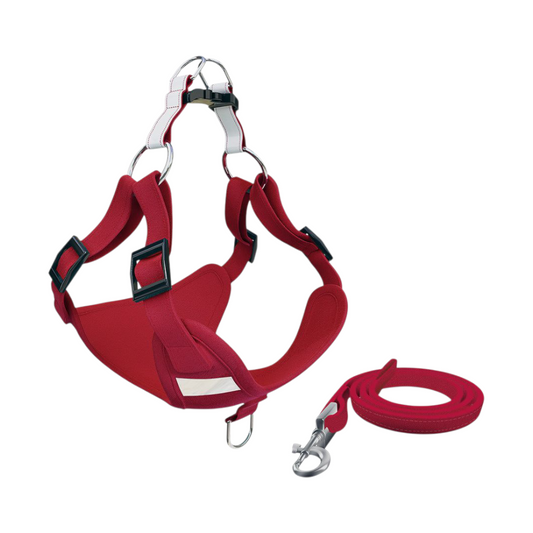 Reflective Dog Harness & Leash