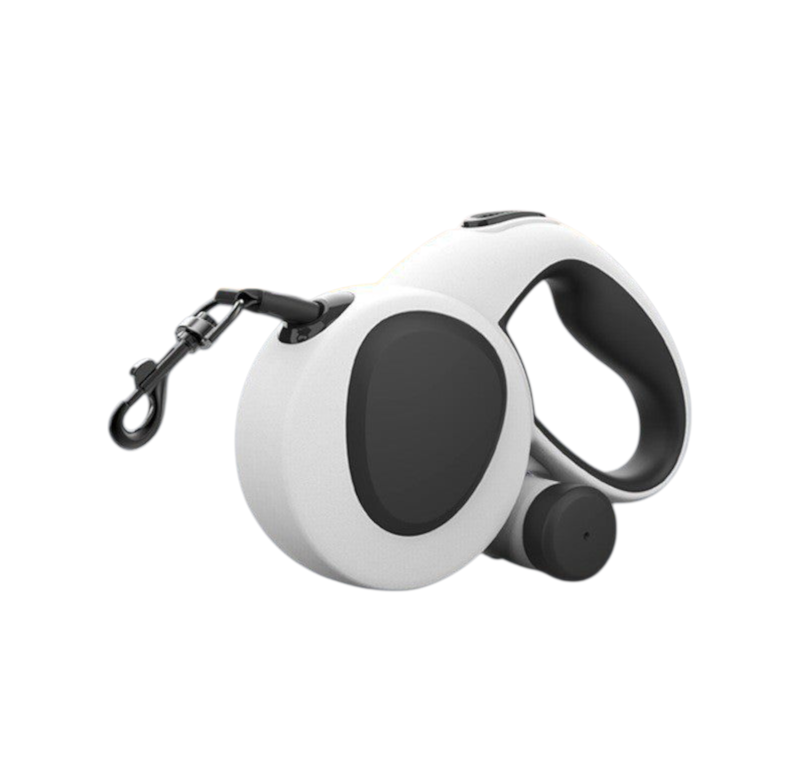 Led Light Dog Leash Nylon Webbing