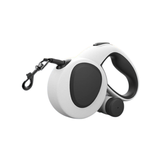 Led Light Dog Leash Nylon Webbing