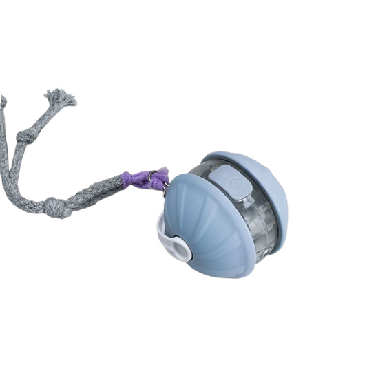 Multifunction Sound Cat Toy Ball